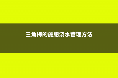 三角梅施肥方法，用什么肥好 (三角梅的施肥浇水管理方法)