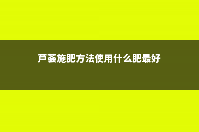 芦荟施肥方法，用什么肥好 (芦荟施肥方法使用什么肥最好)