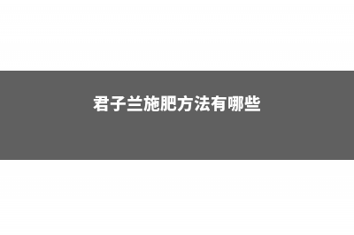 君子兰施肥方法，用什么肥好 (君子兰施肥方法有哪些)