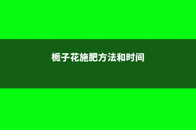 栀子花施肥方法，用什么肥好 (栀子花施肥方法和时间)