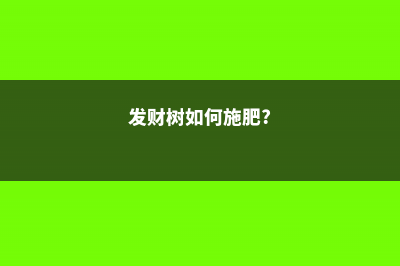 发财树施肥方法，用什么肥好 (发财树如何施肥?)