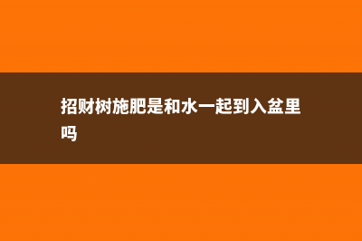 招财树如何施肥，怎么浇水 (招财树施肥是和水一起到入盆里吗)