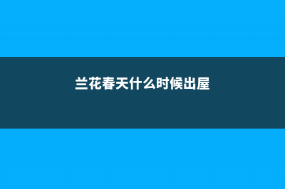 兰花春天什么时候施肥，施什么肥 (兰花春天什么时候出屋)