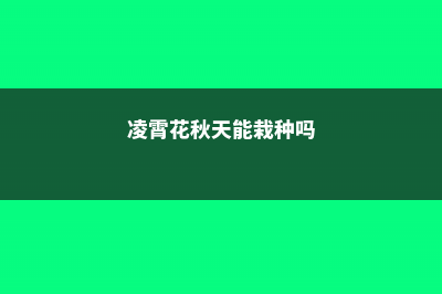 凌霄花秋天可以种活吗，如何种植 (凌霄花秋天能栽种吗)