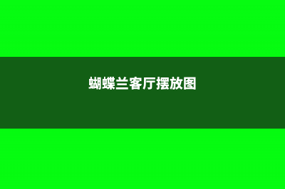 蝴蝶兰适合室内养吗，如何养护长的好 (蝴蝶兰客厅摆放图)