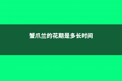 蟹爪兰的花期多长时间，如何延长花期 (蟹爪兰的花期是多长时间)