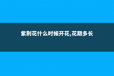 紫荆花秋季开花是怎么样的，多久施一次肥 (紫荆花什么时候开花,花期多长)