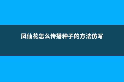 凤仙花怎么传播种子，怎么种 (凤仙花怎么传播种子的方法仿写)