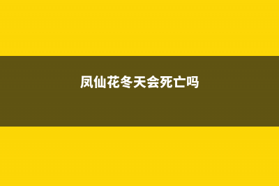 凤仙花冬天会死吗，冬天怎么养 (凤仙花冬天会死亡吗)