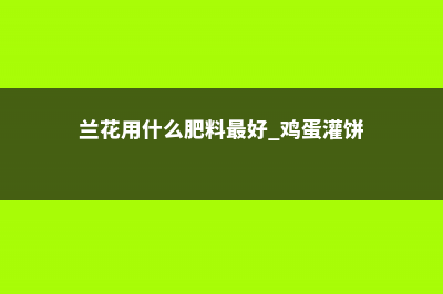 兰花用什么肥料，怎么施肥 (兰花用什么肥料最好 鸡蛋灌饼)