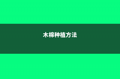 木棉的养殖方法和注意事项，适合种在什么地方 (木棉种植方法)