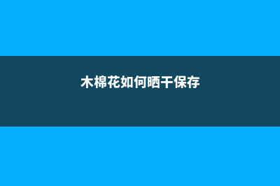 木棉花如何晒干它，如何泡水喝 (木棉花如何晒干保存)