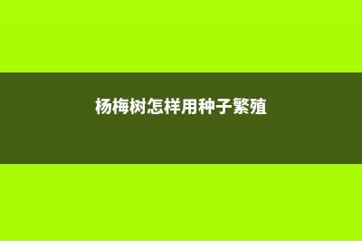 杨梅繁殖方法有哪些，常用哪种方法 (杨梅树怎样用种子繁殖)