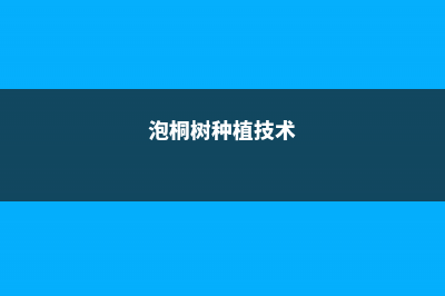 泡桐树怎么种植，怎么才能栽活 (泡桐树种植技术)