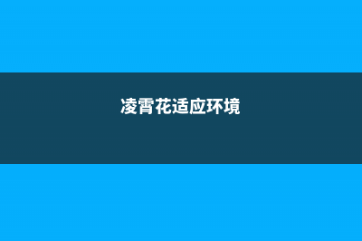 凌霄花对光照的要求，对土壤的酸碱要求 (凌霄花适应环境)