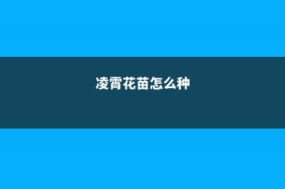 凌霄花怎么繁殖方法，是什么季节开的 (凌霄花苗怎么种)