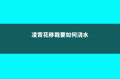 凌霄花浇水注意什么，多长时间浇水 (凌霄花移栽要如何浇水)