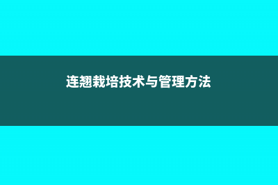 连翘栽培技术，栽培与管理 (连翘栽培技术与管理方法)