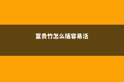 怎么让富贵竹安全过冬，冻伤了怎么办 (富贵竹怎么插容易活)