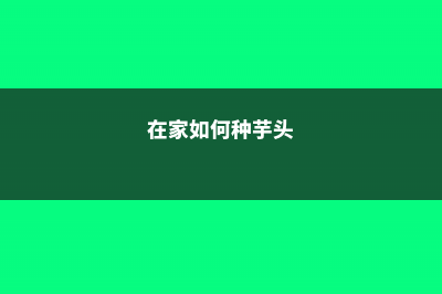 在家怎么种芋头，冬天能种吗 (在家如何种芋头)