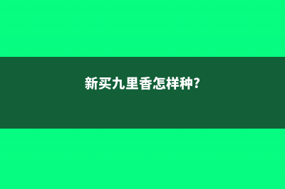 新买的九里香怎么养 (新买九里香怎样种?)