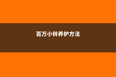 百万小铃怎么养护，百万小铃图片 (百万小铃养护方法)