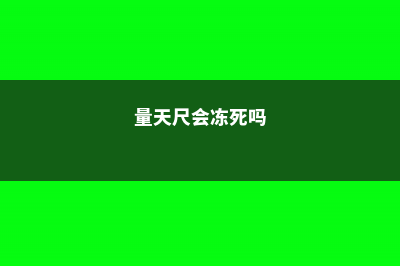 量天尺冬天怎么养，冻伤了怎么办 (量天尺会冻死吗)