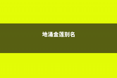 地涌金莲怎么分株，怎么移栽 (地涌金莲别名)