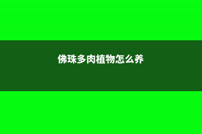 佛珠多肉怎么养，怎么扦插 (佛珠多肉植物怎么养)