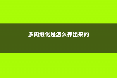 多肉缀化是怎么一回事，怎么养成缀化 (多肉缀化是怎么养出来的)