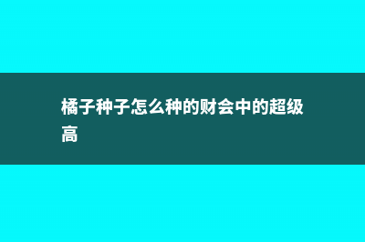 橘子种子怎么种，几年可结果 (橘子种子怎么种的财会中的超级高)