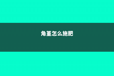 怎么让角堇爆盆，开花后怎么修剪 (角堇怎么施肥)