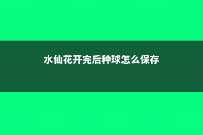 水仙花种球保存的方法，如何挑选水仙花的种球 (水仙花开完后种球怎么保存)