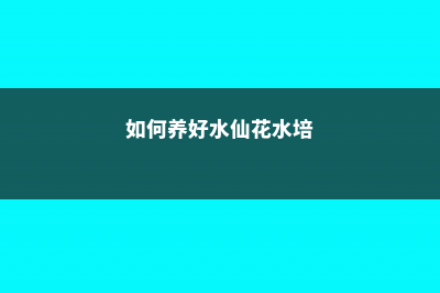 水仙花水培如何养殖，水养多久能开花 (如何养好水仙花水培)