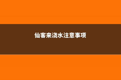 仙客来浇水的正确方法，浇水多了怎么办 (仙客来浇水注意事项)