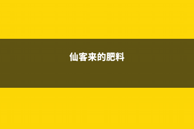 仙客来施肥多了怎么办，开花期可以施肥吗 (仙客来的肥料)