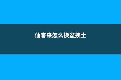 仙客来怎么换盆，换盆注意事项 (仙客来怎么换盆换土)