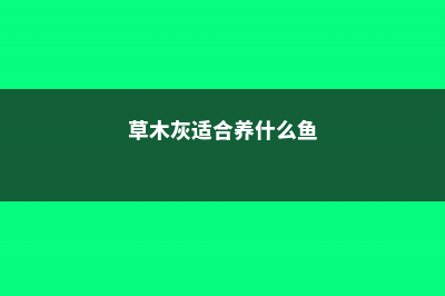 草木灰适合养什么花，怎么使用 (草木灰适合养什么鱼)