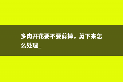 多肉开花要不要剪掉，剪下来怎么处理 