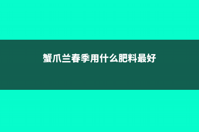 春季蟹爪兰需要翻盆吗，春天开花吗 (蟹爪兰春季用什么肥料最好)