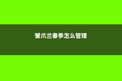 春季蟹爪兰的栽培养护，春天换盆好还是秋天好 (蟹爪兰春季怎么管理)