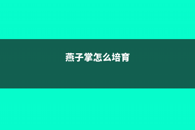 怎么让燕子掌长的快，长得粗壮 (燕子掌怎么培育)