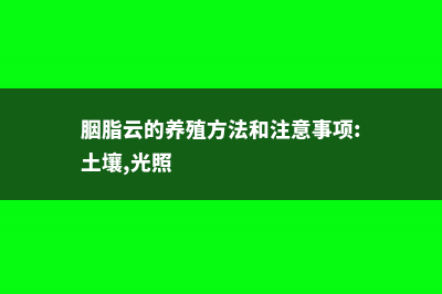 胭脂云的养殖方法和注意事项 (胭脂云的养殖方法和注意事项:土壤,光照)