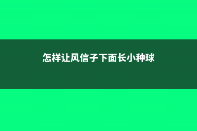 怎么让风信子长得快，长太高怎么处理 (怎样让风信子下面长小种球)