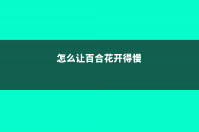 怎么让百合花开的更久，花期怎么养 (怎么让百合花开得慢)