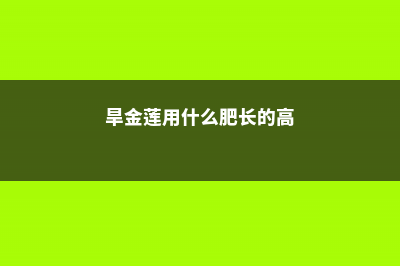 怎么让旱金莲长粗，如何爆盆 (旱金莲用什么肥长的高)