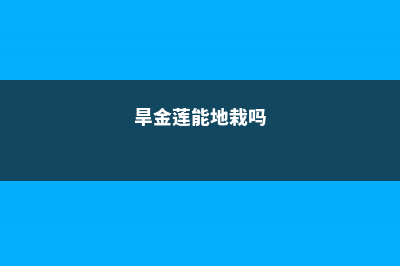 旱金莲爬藤吗，怎么让它爬藤 (旱金莲能地栽吗)