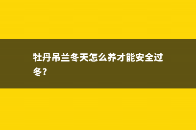 牡丹吊兰冬天怎么养护，需要剪枝吗 (牡丹吊兰冬天怎么养才能安全过冬?)