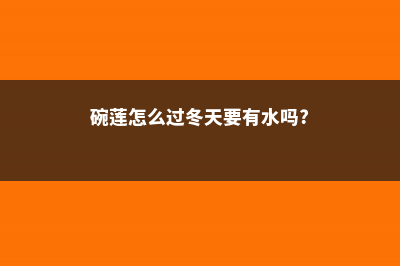 碗莲怎么过冬，多少度会冻死 (碗莲怎么过冬天要有水吗?)