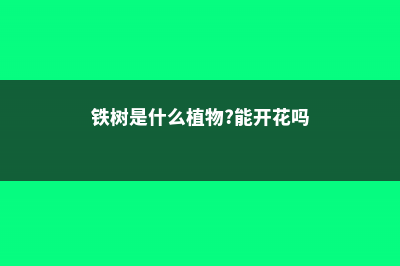 铁树是什么植物，种子怎样种植 (铁树是什么植物?能开花吗)